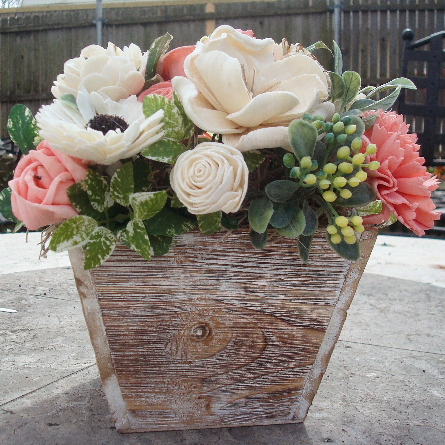 Pale pink in white Sola flowers in a  washed wood planter