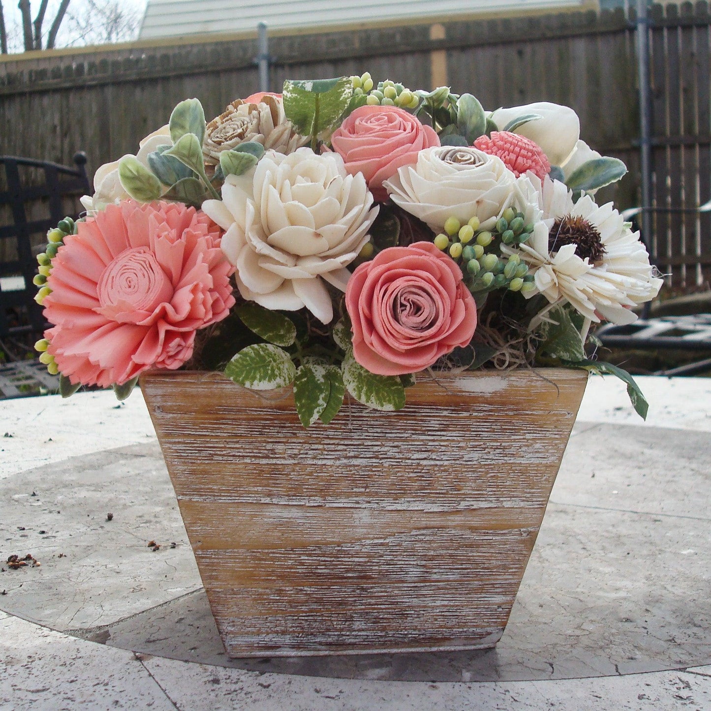 Pale pink in white Sola flowers in a  washed wood planter